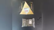 Cheiro de maconha em encomenda leva à descoberta de drogas em transportadora de Uberlândia