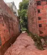 Chuva intensa causa alagamentos e dificuldades para moradores em Mogi das Cruzes