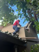 Chuvas intensas em Maricá causam queda de árvores e danos a residências