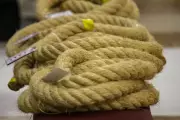 Corda do Círio de Nazaré terá produção renovada com fibra amazônica para 2026