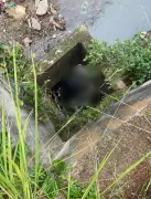 Corpo de homem é encontrado em córrego no bairro São Pedro, em Juiz de Fora