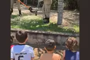 Crianças acompanham resgate de jiboia e divertem bombeiros com pedido inusitado em MS
