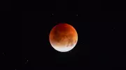 Eclipse lunar de março terá visibilidade limitada no Brasil; Lua de sangue será melhor vista no Pacífico