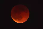 Eclipse lunar total pinta o céu de vermelho nesta terça-feira; veja imagens da 'Lua de sangue'