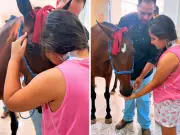 Encontro entre menina internada e égua terapeuta emociona em hospital de Mogi Mirim