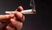 Estudo revela que uso prolongado de maconha pode afinar córtex frontal do cérebro