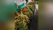 Fartura de Pupunha Alegra Feiras de Santarém Após Anos de Produção Afetada