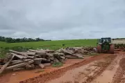 Fazendeiro recebe multa de R$ 12 mil por armazenar ilegalmente madeira de itaúba em Mato Grosso