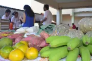 Feira da Agricultura Familiar da Ufopa retorna com produtos regionais em Santarém