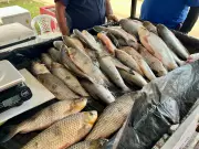 Feira do Peixe em Rio Branco inicia com previsão de vender 146 toneladas até Sexta-feira Santa