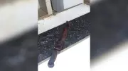 Filho ataca mãe com facão em São José do Rio Preto após briga por roupas no varal