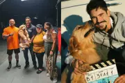 Filhote de golden retriever de Jundiaí vive dia de estrela ao gravar cena para filme 'Minha Vida com Shurastey'
