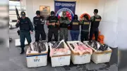 Fiscalização no Baixo Amazonas apreende 605 quilos de pescado transportado irregularmente