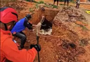 Égua prenha é resgatada de fossa séptica por bombeiros em Gurupi, Tocantins