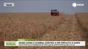 Guerra contra o Irã ameaça fornecimento de fertilizantes para o agronegócio brasileiro