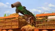 Guerra no Oriente Médio eleva custos e pressiona produtores rurais de São Paulo