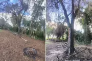 Homem multado em R$ 5,3 mil por destruir vegetação nativa com fogo em Álvares Machado