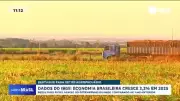 IBGE revela crescimento de 2,3% da economia brasileira em 2025, abaixo do ano anterior