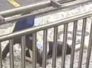 Idosa é brutalmente arrastada durante assalto em Copacabana; vídeo choca redes