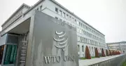 Imposto Digital: Impasse Brasil-EUA trava reforma da OMC e ameaça comércio global