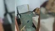 Irmãos são resgatados com marcas de agressão e levados a abrigo em Birigui (SP)