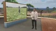 Jornal do Campo TO exibe reportagens sobre agricultura e pecuária neste domingo