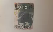 Justiça condena estado de SP a indenizar tutores por morte de cachorra a tiros por PM em Guará