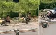 Ladrão desiste de bicicleta após motorista dar ré em Campos, no RJ; vídeo flagra ação atrapalhada