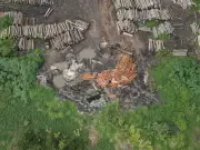 Madeireiro é preso em flagrante por tentativa de suborno a agente do Ibama no Pará