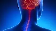 Meningite: Campinas e Piracicaba registram 86 casos e 8 mortes em 2026