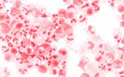 Meningite mata mais de 250 mil em 2023 e ainda supera metas da OMS para combate à doença