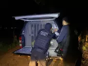 Menino de 7 anos morre após disparo acidental com arma do padrasto em Ipixuna do Pará