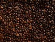 Mito do café ruim no Brasil é desmentido: qualidade interna evoluiu desde os anos 80