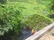 Motorista morre após carro despencar de ponte na RJ-145, em Piraí, no Rio de Janeiro