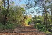 MP de Mato Grosso do Sul investiga fechamento de estrada rural após denúncia de moradores
