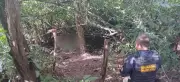 Mulher é encontrada morta com sinais de violência em mata de Parauapebas, PA