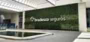 Ney Dias assume presidência da Bradesco Seguros após mudanças no conselho