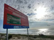 Novas regras permitem cães em praias de Florianópolis com restrições e multas