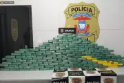 Operação apreende quase meia tonelada de drogas e prende suspeitos em Mato Grosso
