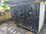 Operação Ícaro fecha arena de rinha e resgata mais de 20 galos no Amazonas