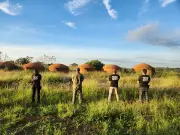 Operação Kodama desmantela esquema milionário de carvão ilegal em Minas Gerais