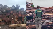 Operação Maravalha no Pará apreende 15 mil m³ de madeira e aplica R$ 110 milhões em multas