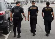 Operação Êxito da PF combate plantação de maconha na Paraíba com prisões em PE e SP