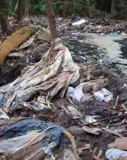 Parque do Sabiá em Uberlândia é alvo de inquérito por contaminação ambiental