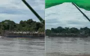 Pescadores se surpreendem com balsa repleta de gado no Rio Araguaia em Goiás