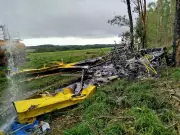 Piloto sobrevive milagrosamente à queda de avião agrícola em fazenda de Mato Grosso