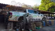 Polícia Ambiental resgata 40 aves silvestres de cativeiro ilegal em Agudos, SP