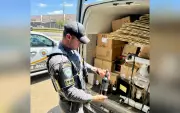 Polícia apreende carga de vinhos importados avaliada em R$ 300 mil na SP-270