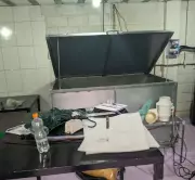 Polícia apreende cogumelos alucinógenos e equipamentos em galpão de Ubatuba