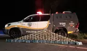 Polícia apreende mais de 140 kg de drogas em carreta na Rodovia Raposo Tavares em Palmital